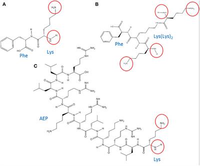 Designing and Characterization of a Novel Delivery System for Improved Cellular Uptake by Brain Using Dendronised Apo-E-Derived Peptide